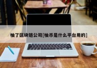 柚了区块链公司[柚币是什么平台用的]