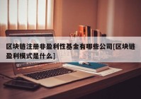 区块链注册非盈利性基金有哪些公司[区块链盈利模式是什么]